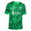 Officiële Voetbalshirt Doelman Liverpool 2024-25 Groene - Heren